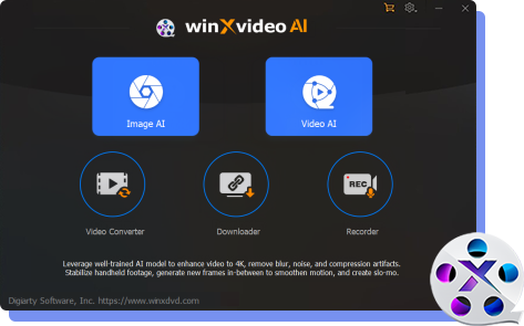 Winxvideo AI